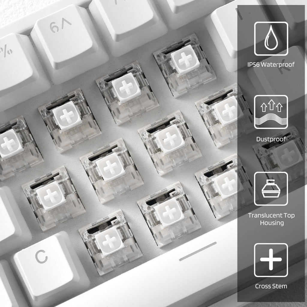 RK x LTC Kailh Switches White for Mechanical Gaming Keyboard DIY (30 Pcs, White)(Ships to US Customers Only)
