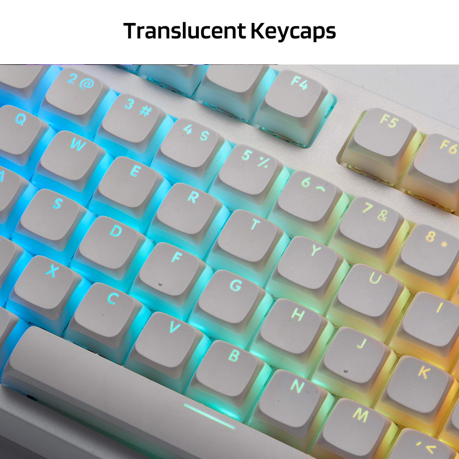 RK x LTC PBT Double Shot 117-Key Pudding Keycaps Set , Translucent XDA Profile for ISO & ANSI Layout 61/68/84/87/98/104 Keys Mechanical Keyboard (Ships to US Customers Only)