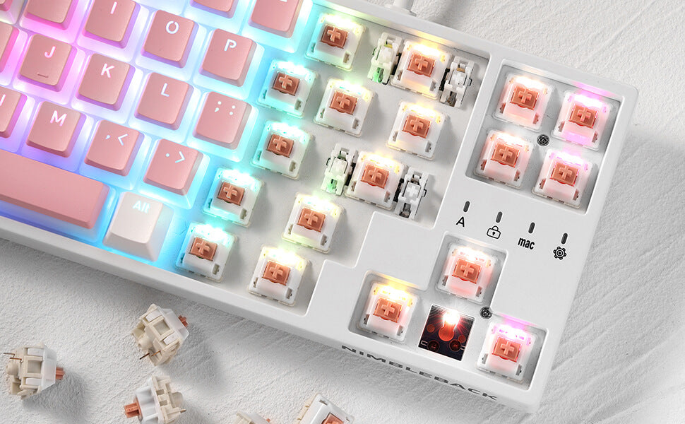 RK x LTC Panda Switches for Mechanical Keyboard DIY, 30 pcs (Ships to US Customers Only)